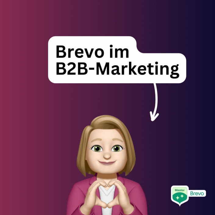 Brevo im B2B-Marketing